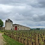 Ciel menaçant sur le vignoble