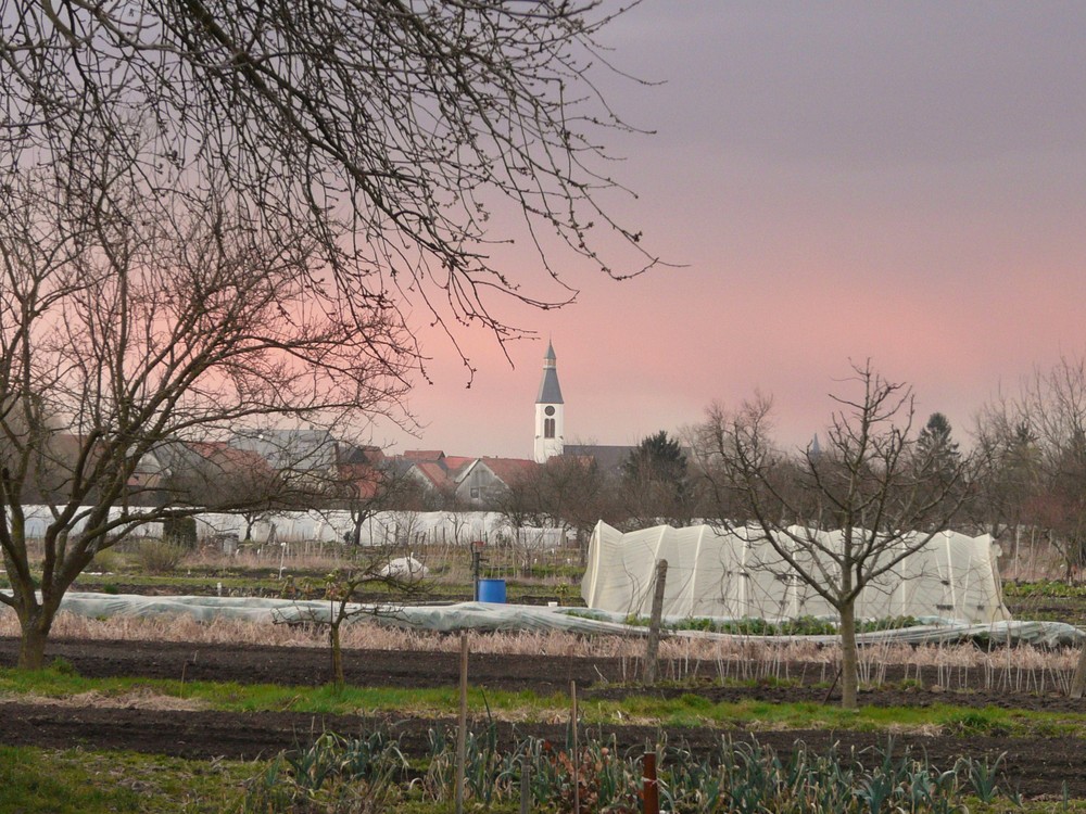 Ciel menaçant sur les jardins du Ried