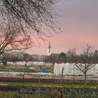 Ciel menaçant sur les jardins du Ried