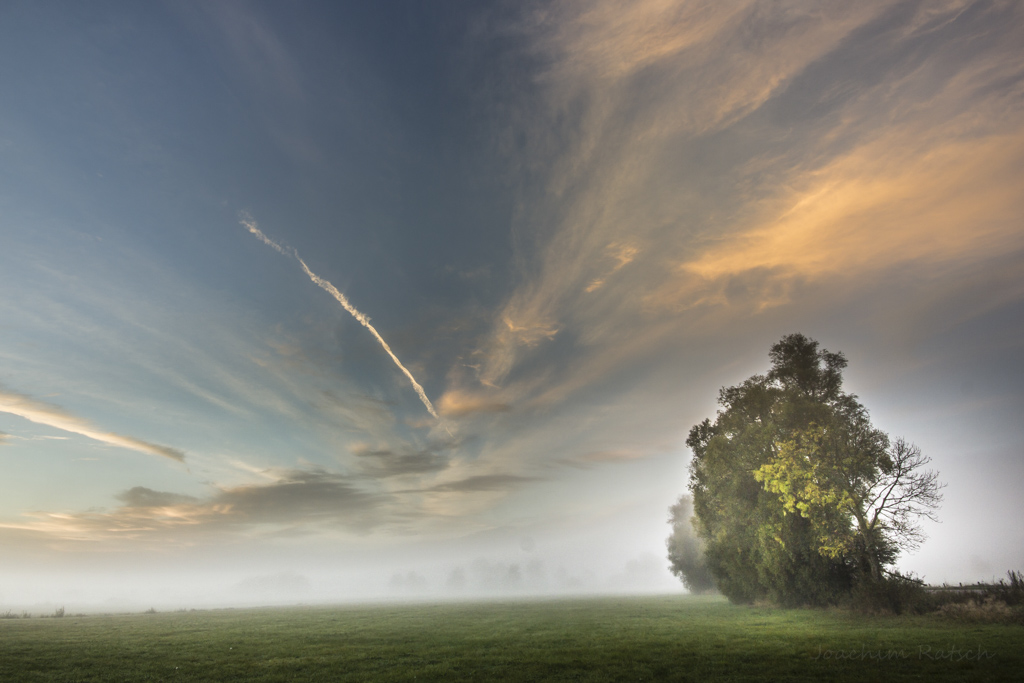 Ciel mon mardi