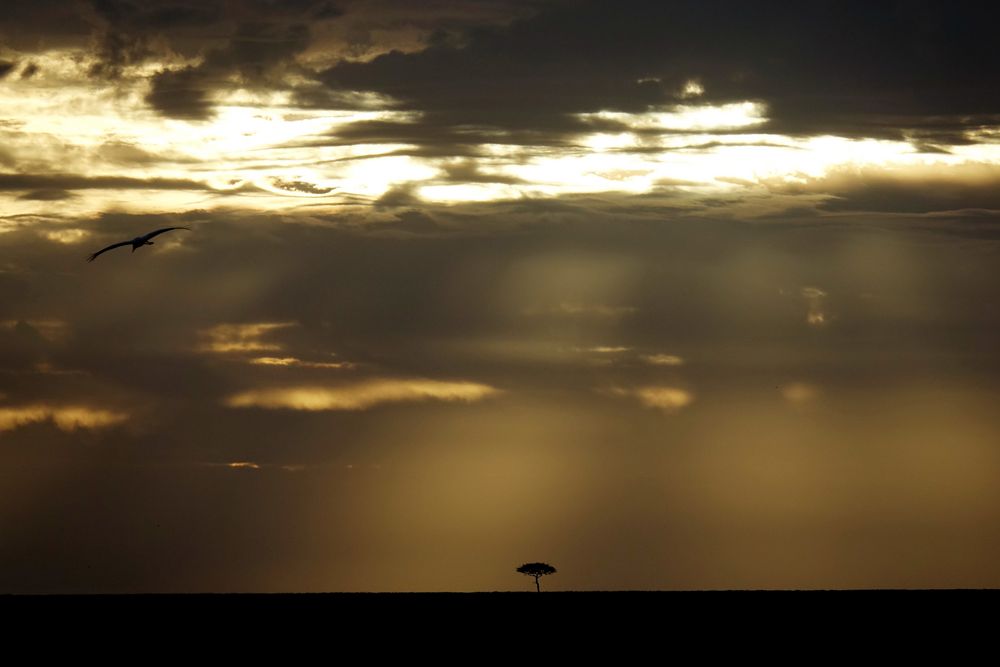 ciel sur la savane