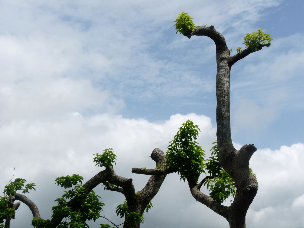 ciel togolais