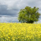 Ciel tourmenté