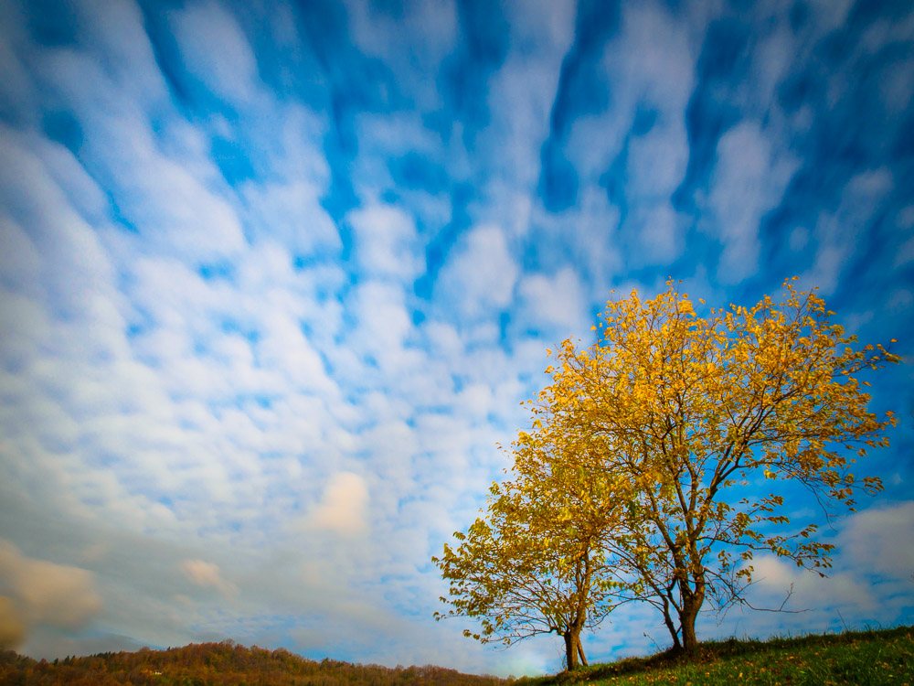 Cieli d' autunno