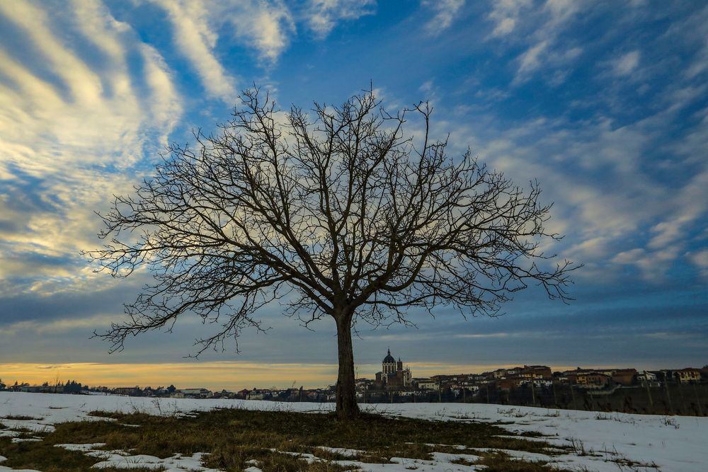 cieli di Fontanile (2)