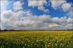 cieli di primavera (2)