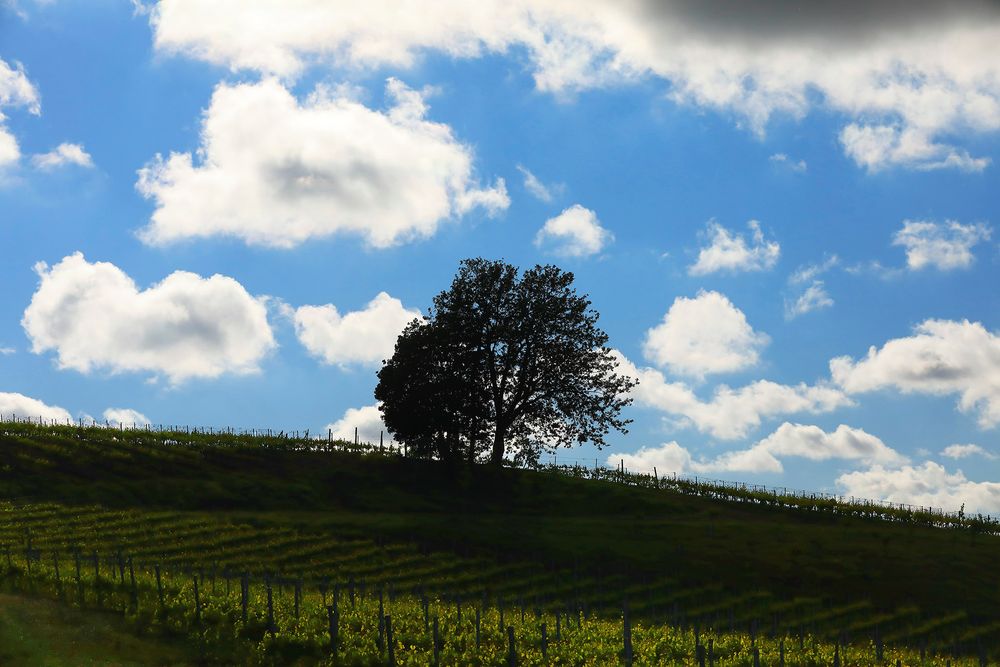 Cieli di primavera