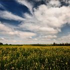 cieli di primavera