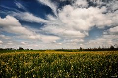 cieli di primavera