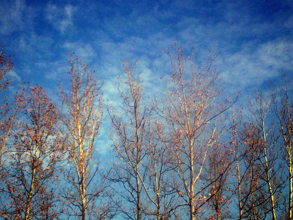 cielo a dicembre