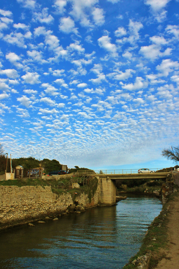 cielo a pecorelle