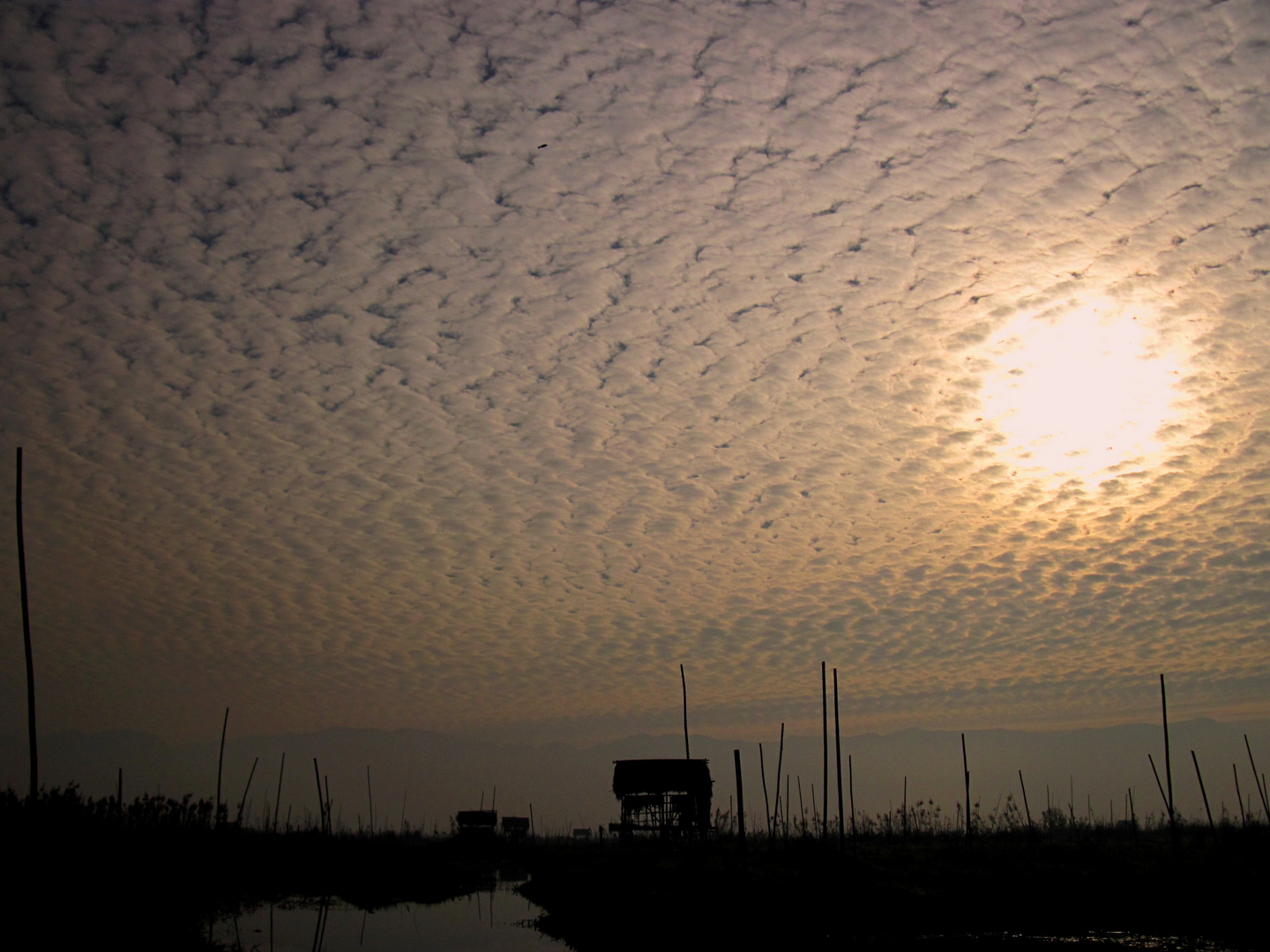 cielo a pecorelle....