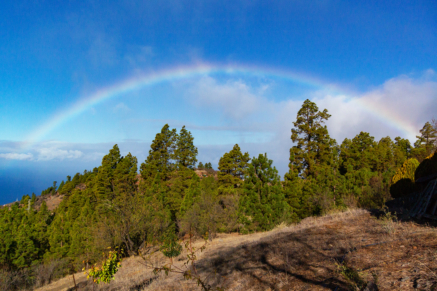 Cielo ancho