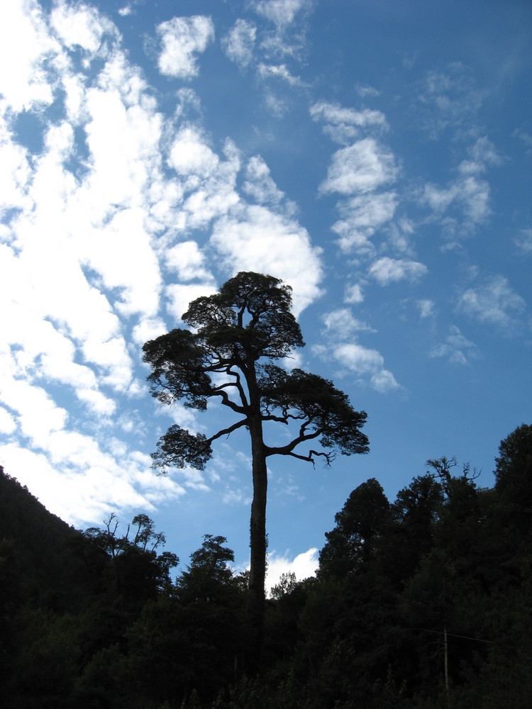 Cielo azul