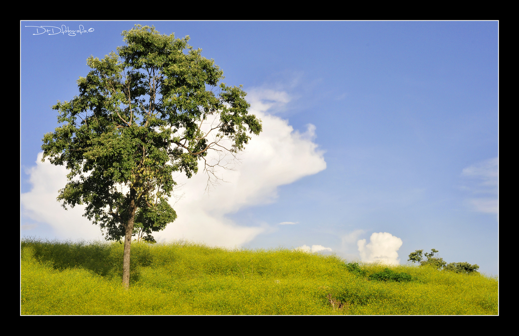 Cielo azul