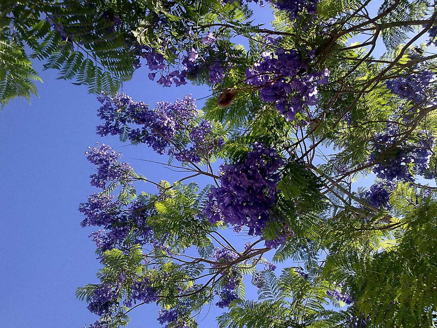 cielo azul