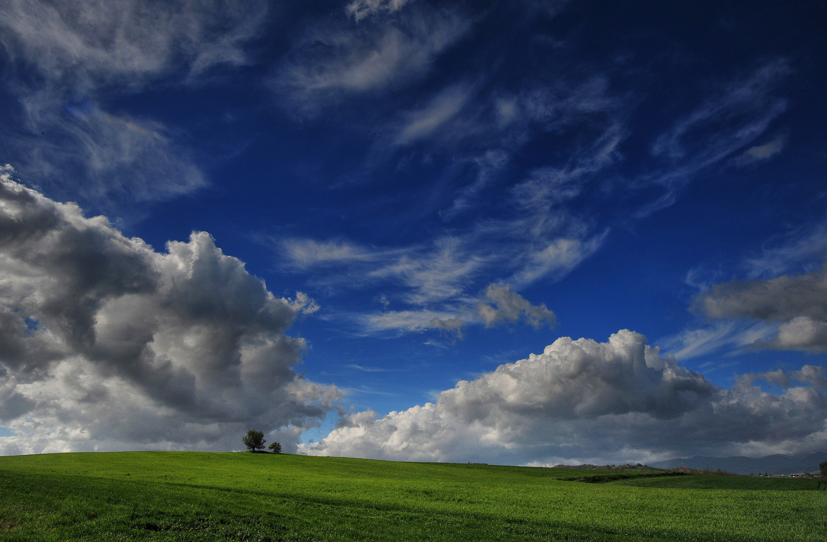 Cielo Blu