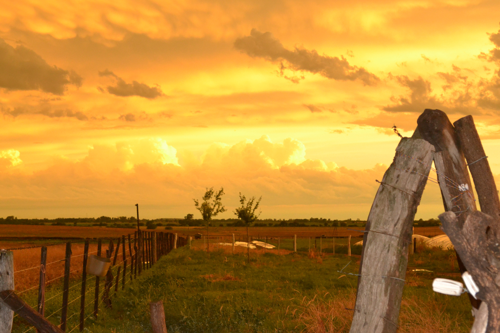 cielo caliente