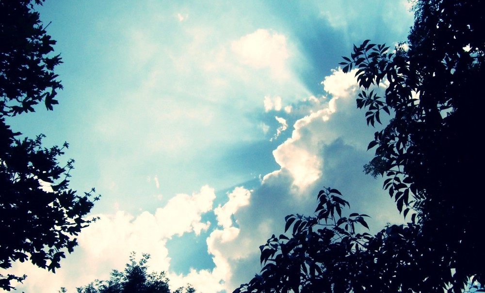 Cielo con arboles. Imagen & Foto | cielo y universo, naturaleza Fotos ...