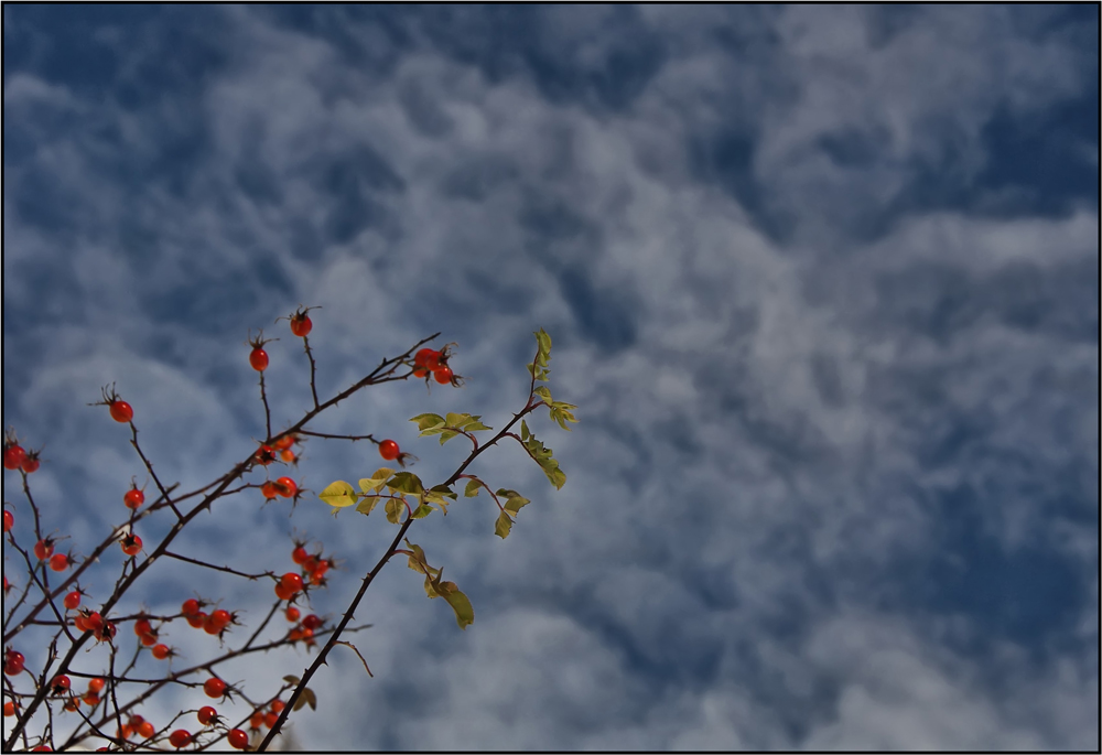 cielo d'autunno