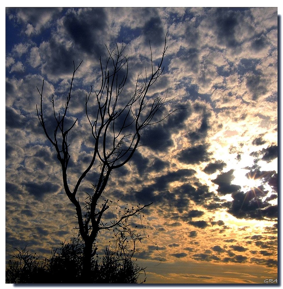 Cielo de invierno.