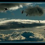 Cielo de Málaga .