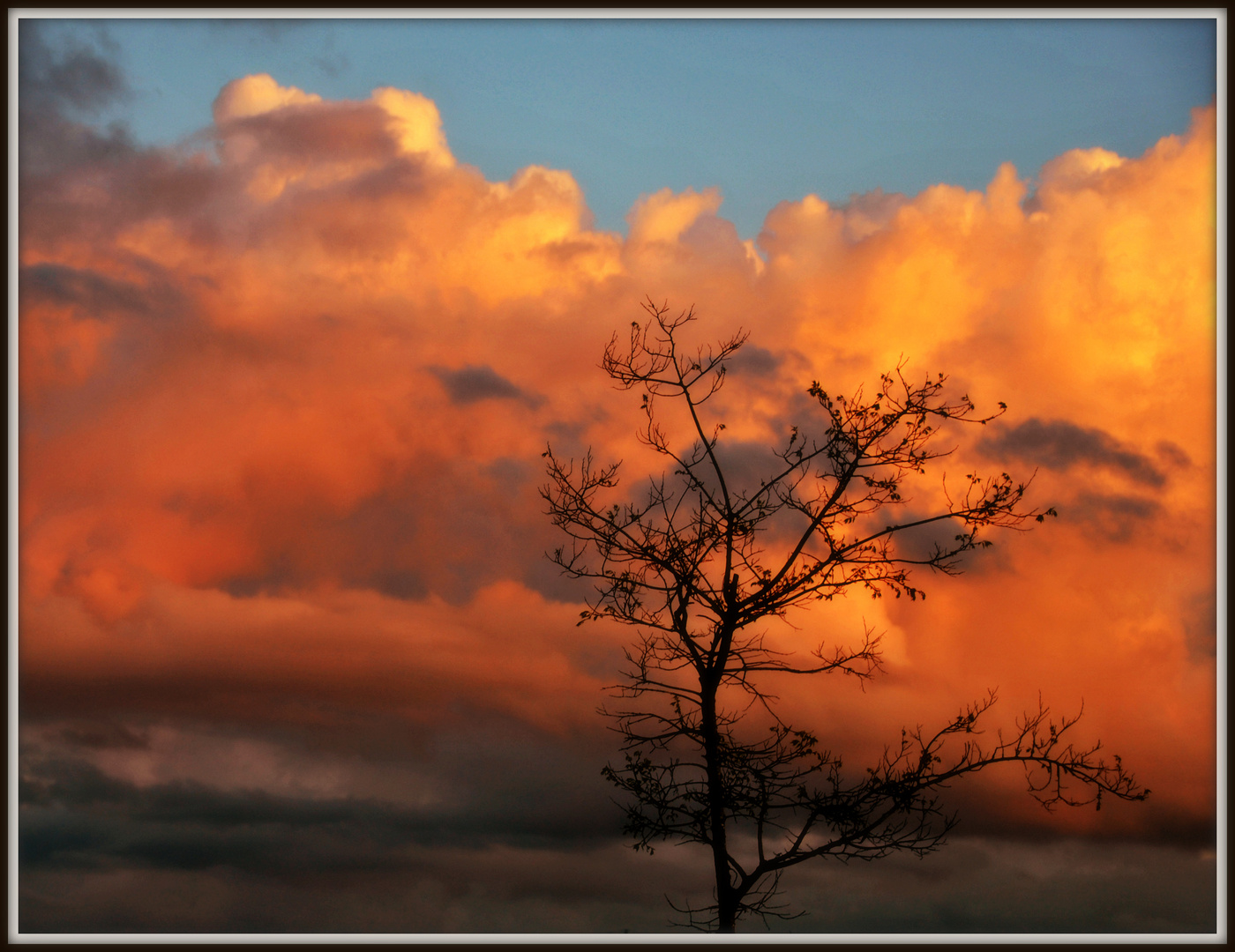 Cielo de primavera