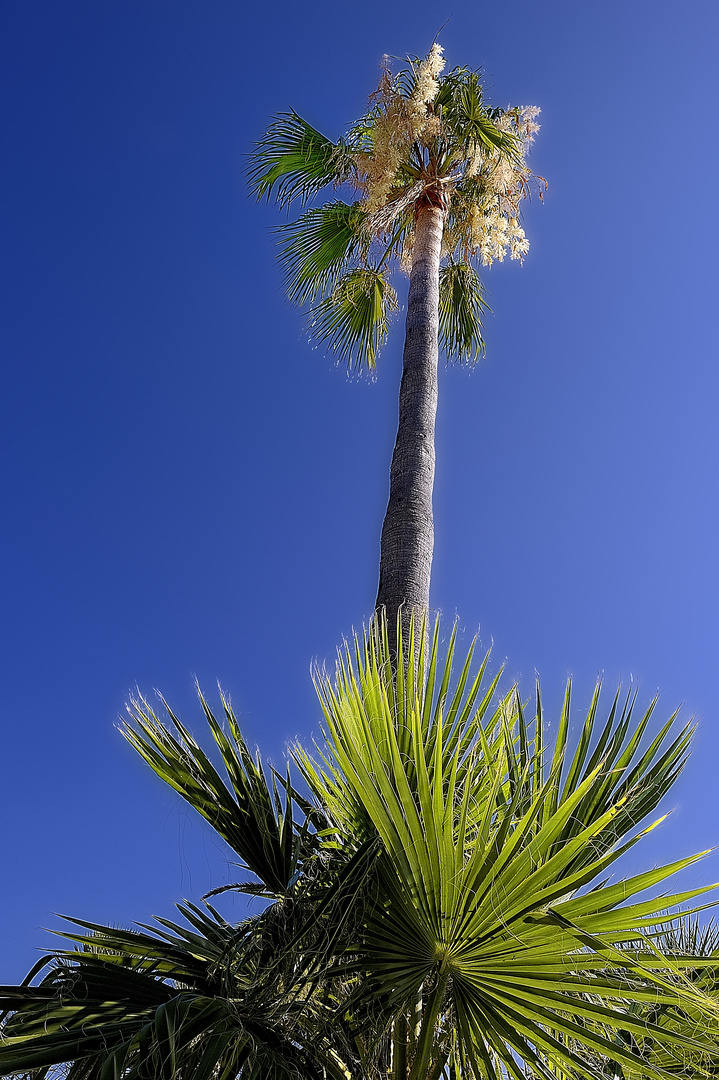 Cielo de verano