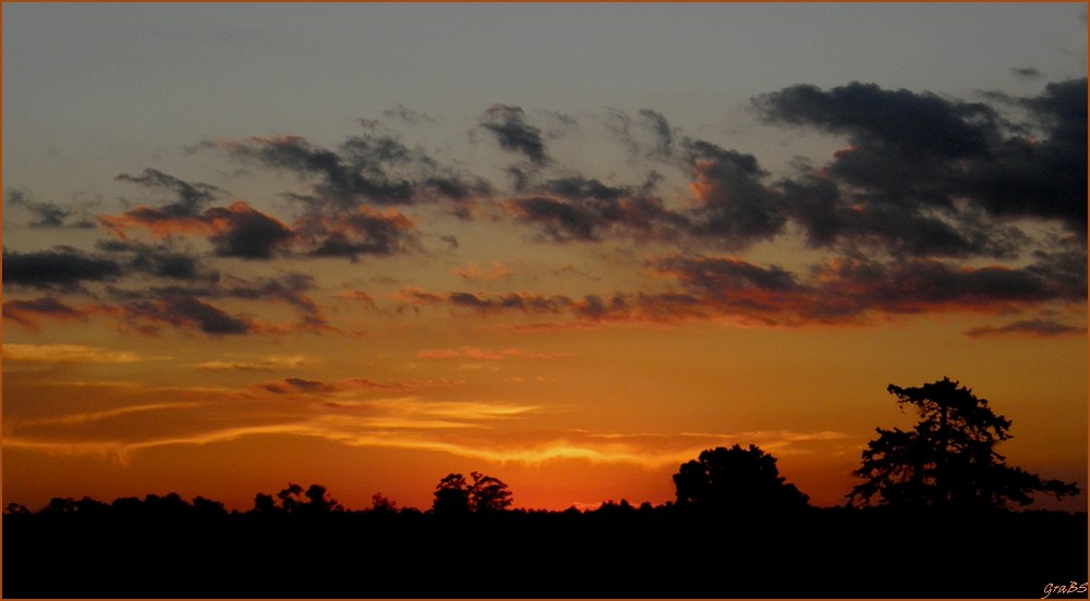 Cielo del Ayui.