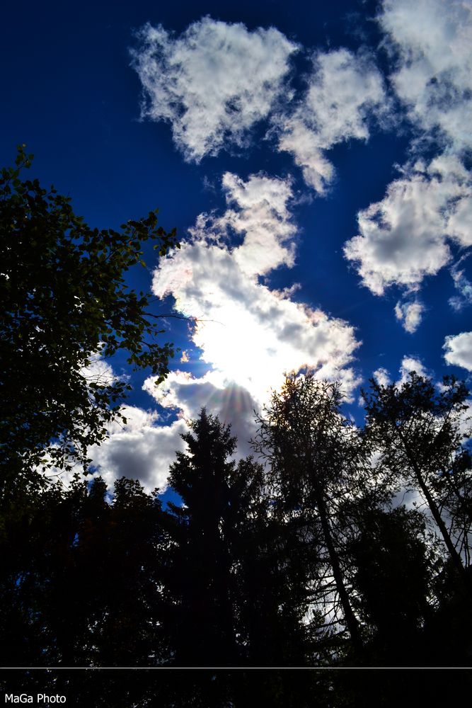 Cielo del Trentino