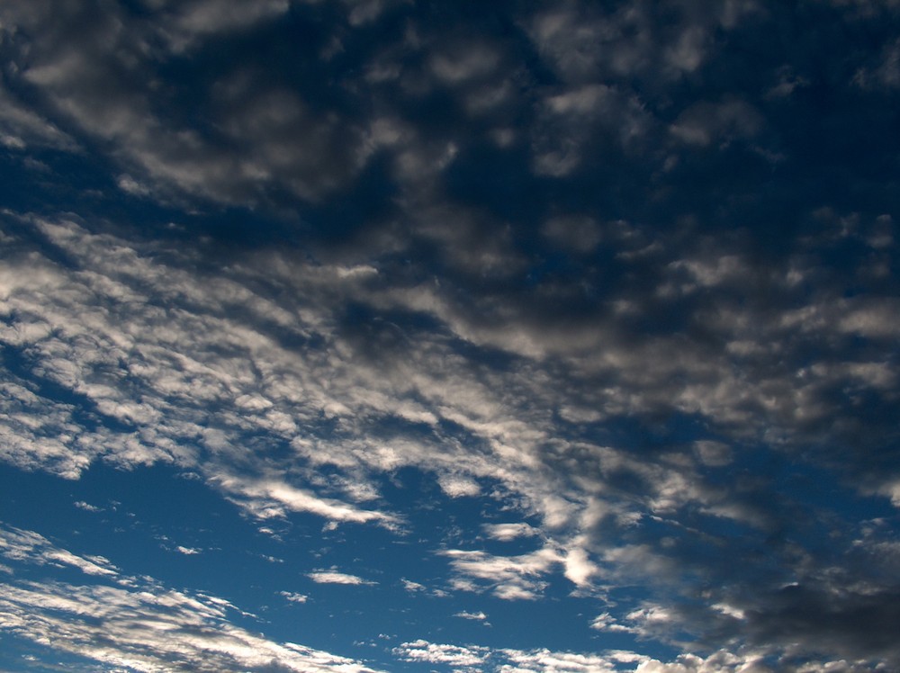 Cielo despejado que bonito contreste!!!!!!