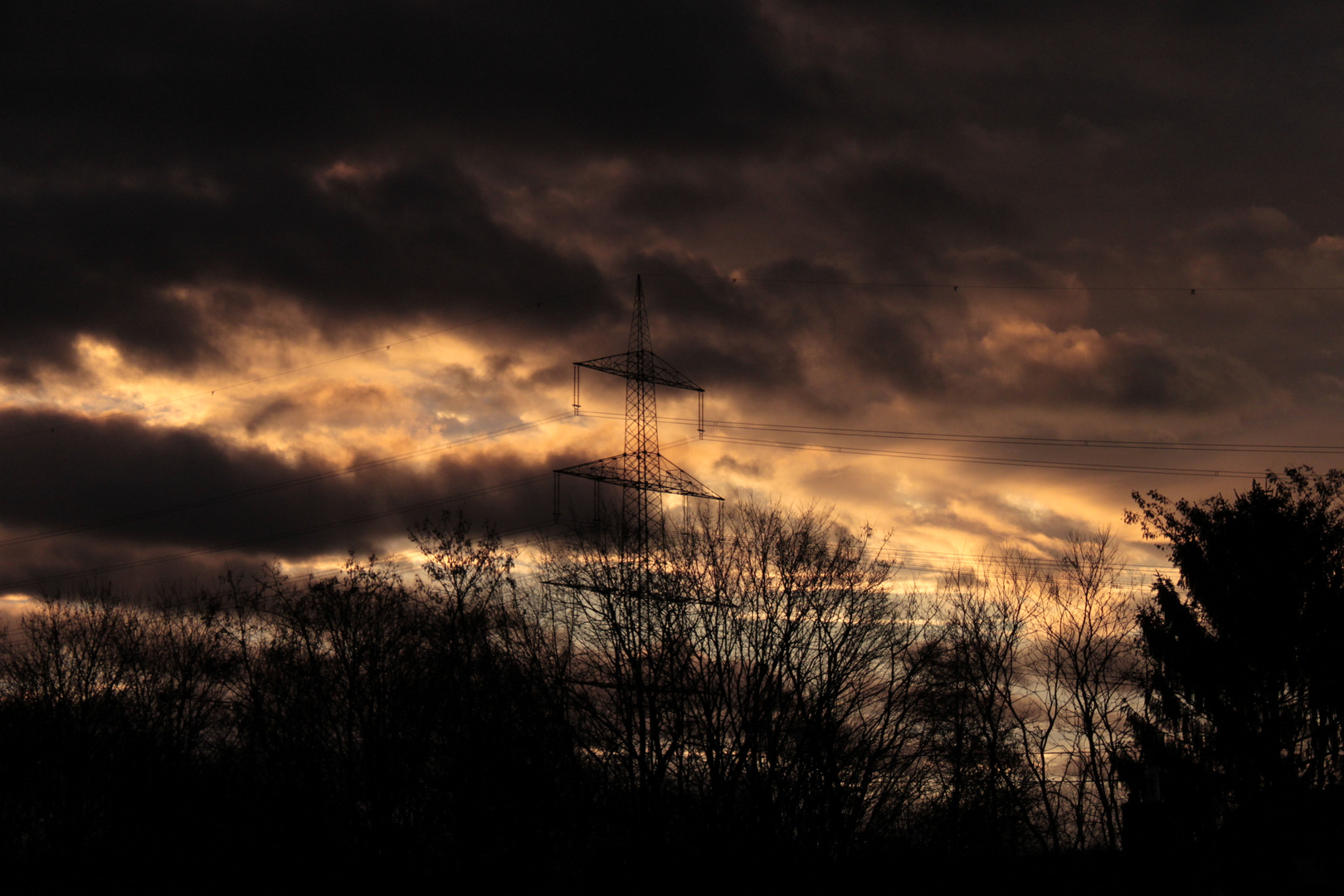 Cielo d´oro