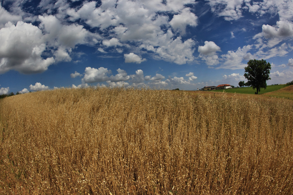 cielo e dintorni