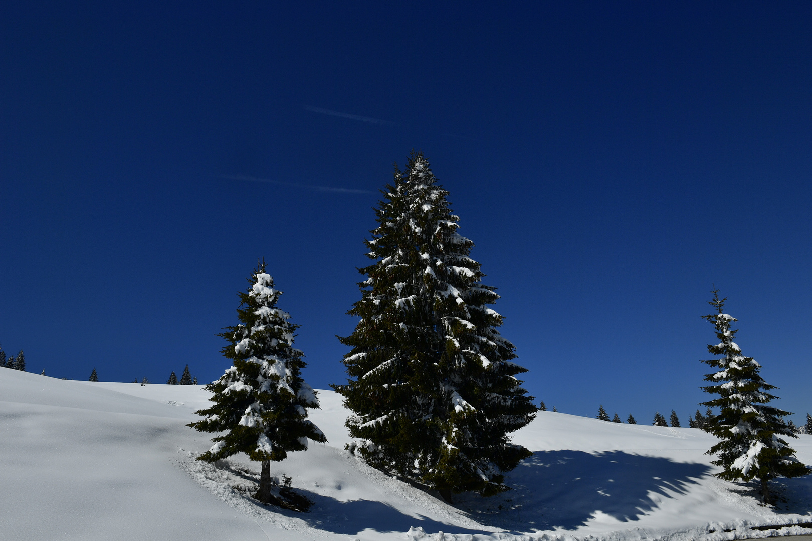 cielo e neve perfetti