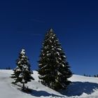 cielo e neve perfetti