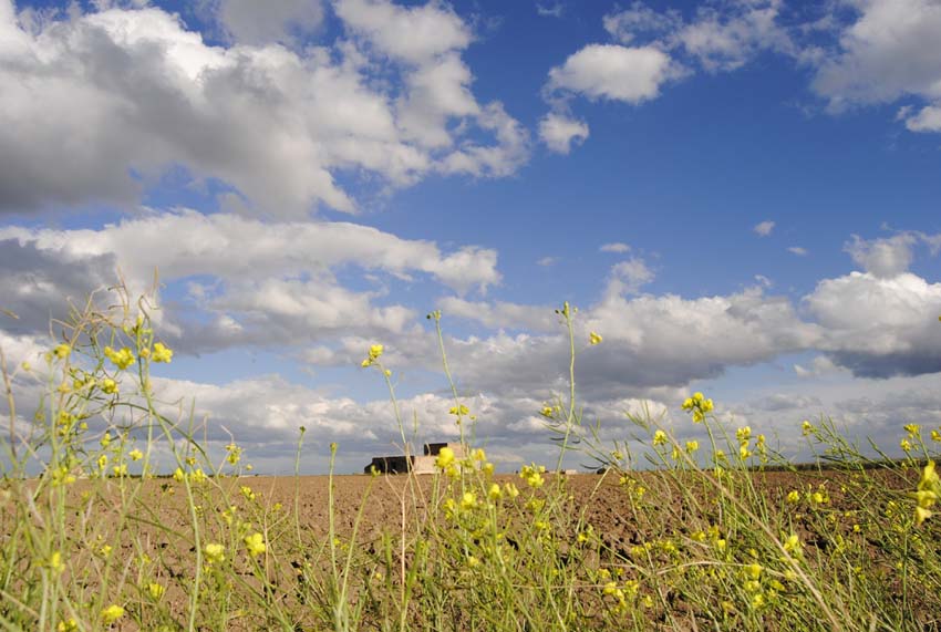 Cielo e terra