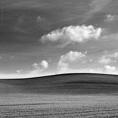 cielo e terra** (Terra Madre)