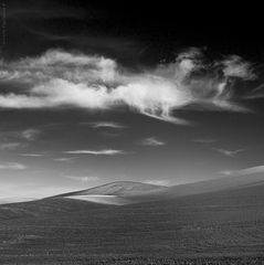 cielo e terra* (Terra Madre)