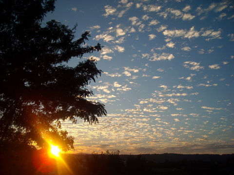 Cielo empedrado