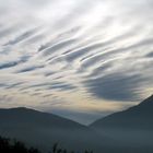 Cielo en el Roble