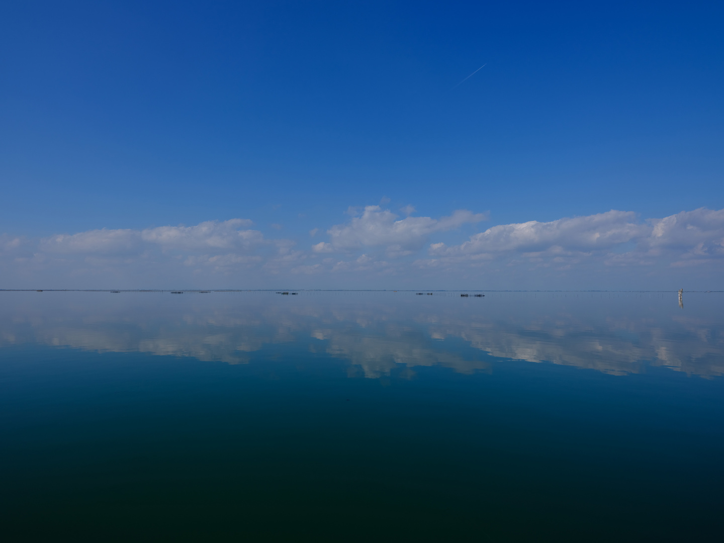 cielo mare: correzioni dovute con ringraziamento