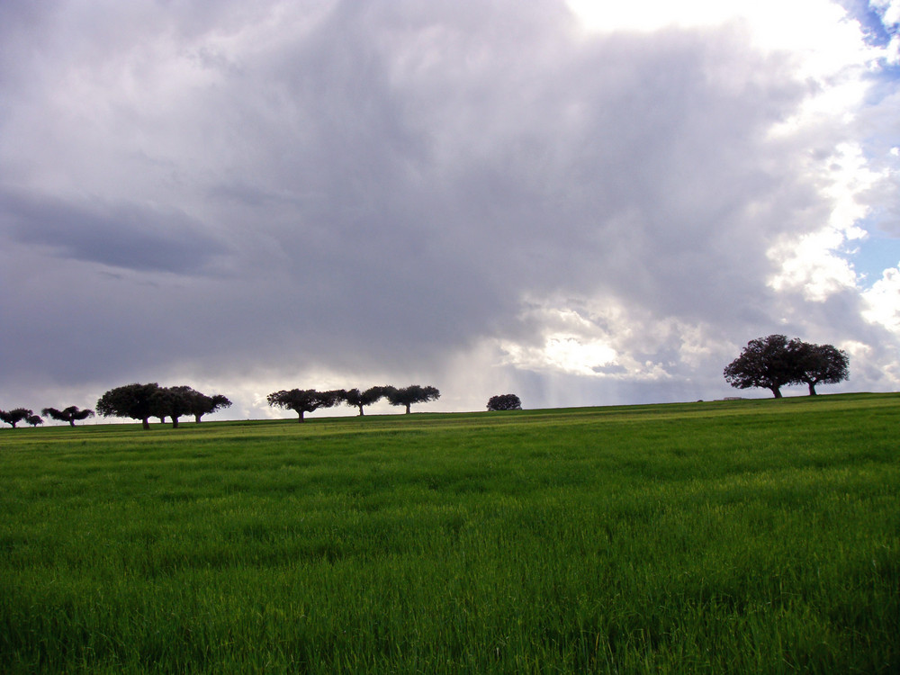 CIELO MIO