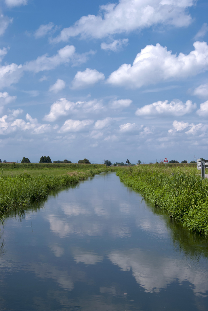 Cielo, nutrie e pensieri d'estate.