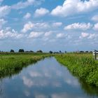 Cielo, nutrie e pensieri d'estate.