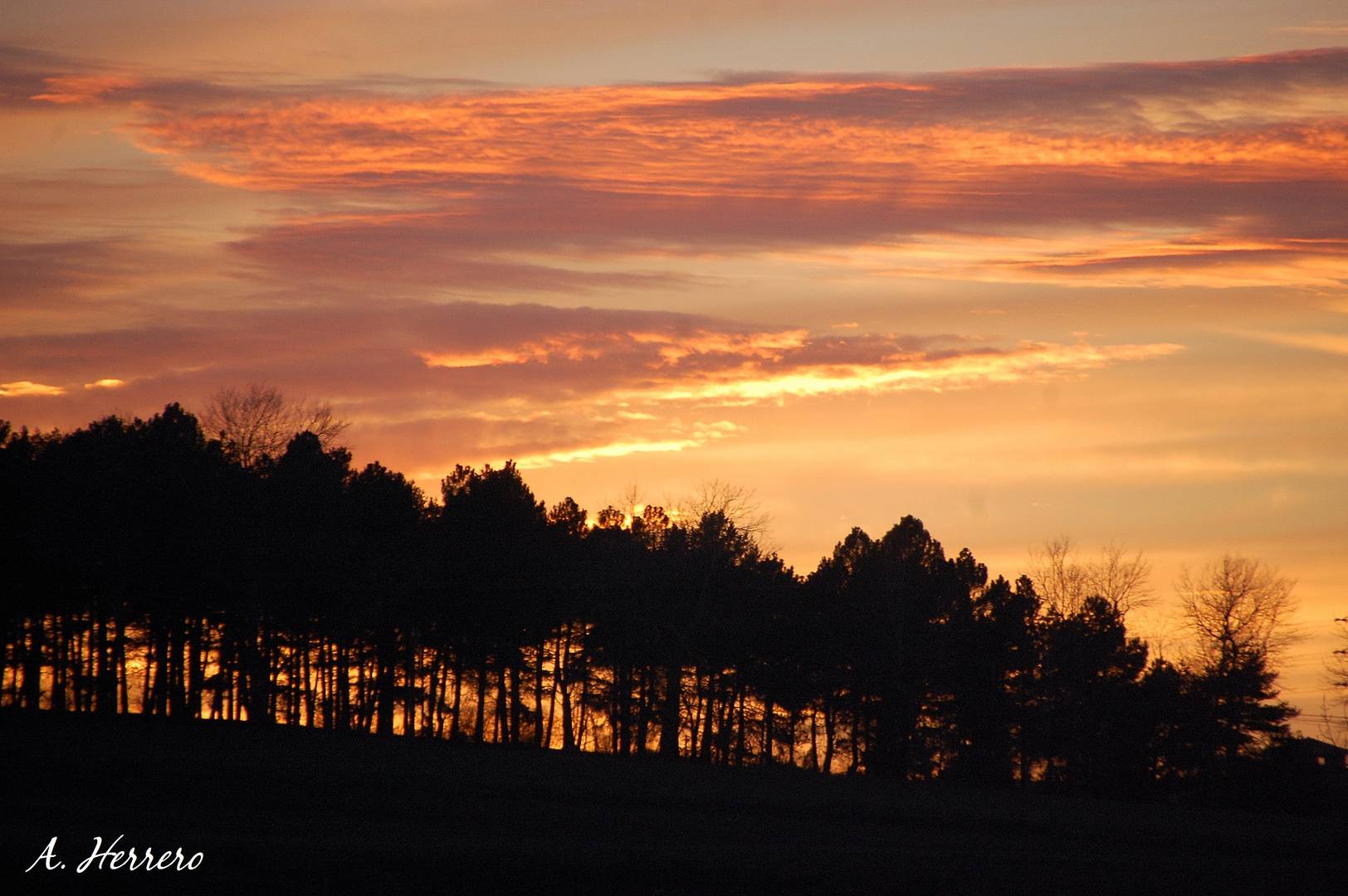 Cielo rojo