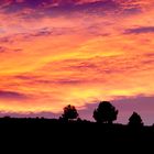 Cielo rojo