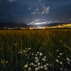 Cielo stellato sopra i fiori