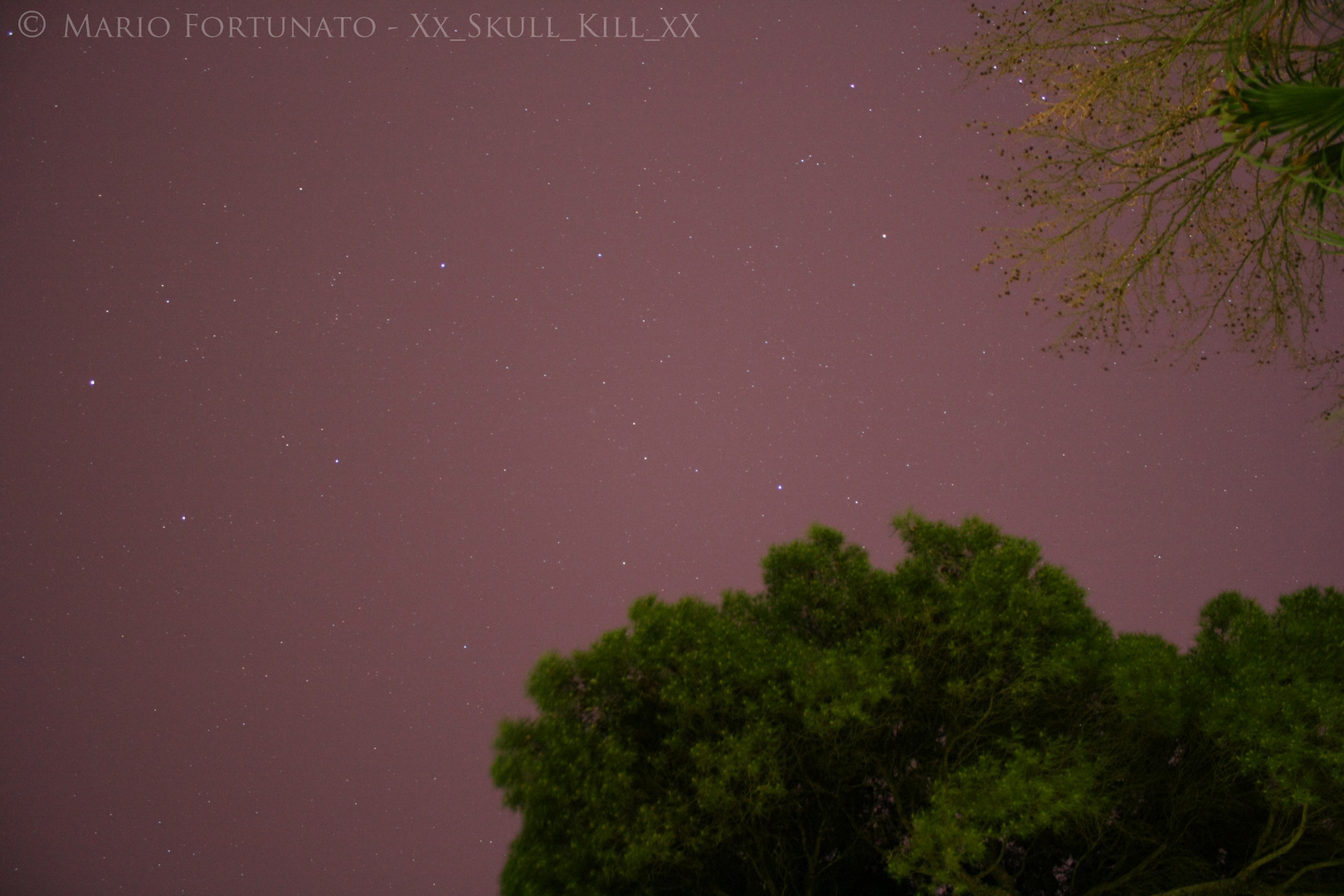 Cielo Stellato. Villa Comunale Cerignola (FG)