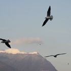 Cielo sul lago di Como