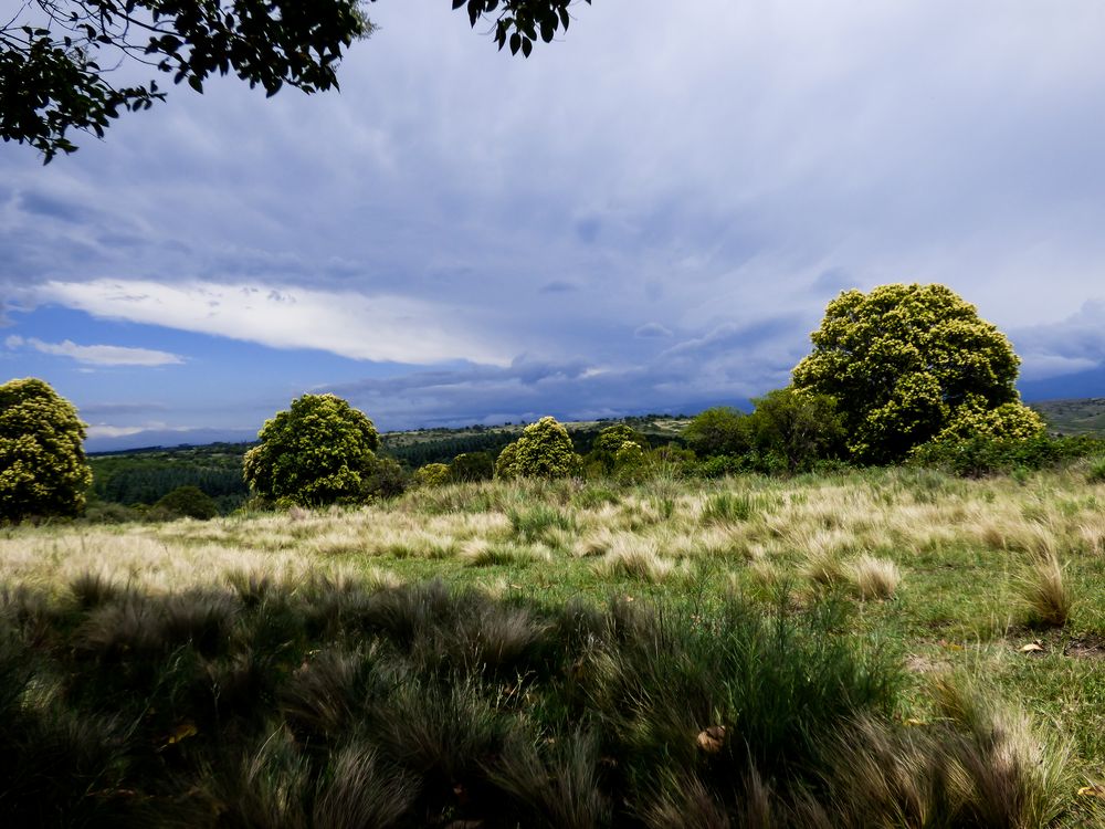 Cielo tormentoso